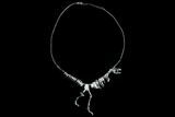 Dinosaur Necklace - Silver Tone #122140-1